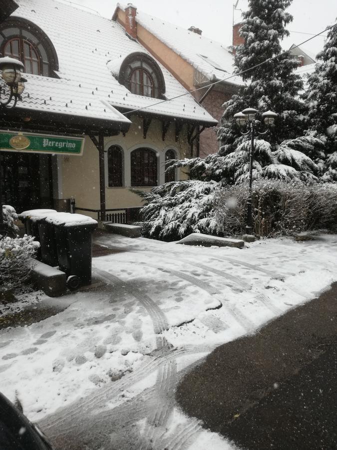 Peregrino Panzió Acomodação com café da manhã Budaörs Exterior foto